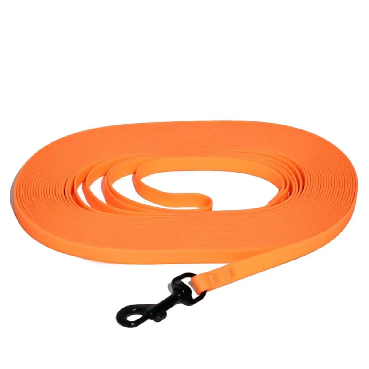 Waterproof PVC Long Cat Training Leash - ProPawPet.com