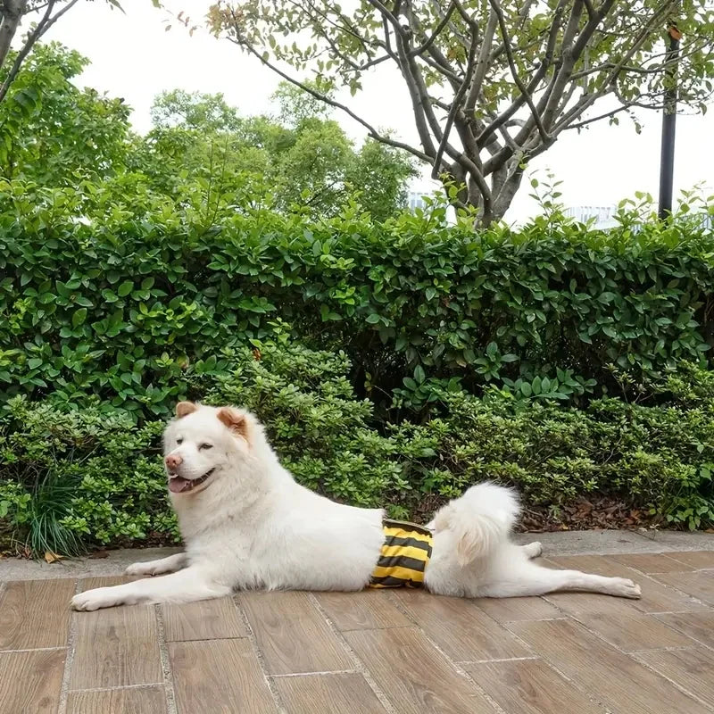 Male Dog Diapers Washable Belly Band for - ProPawPet.com
