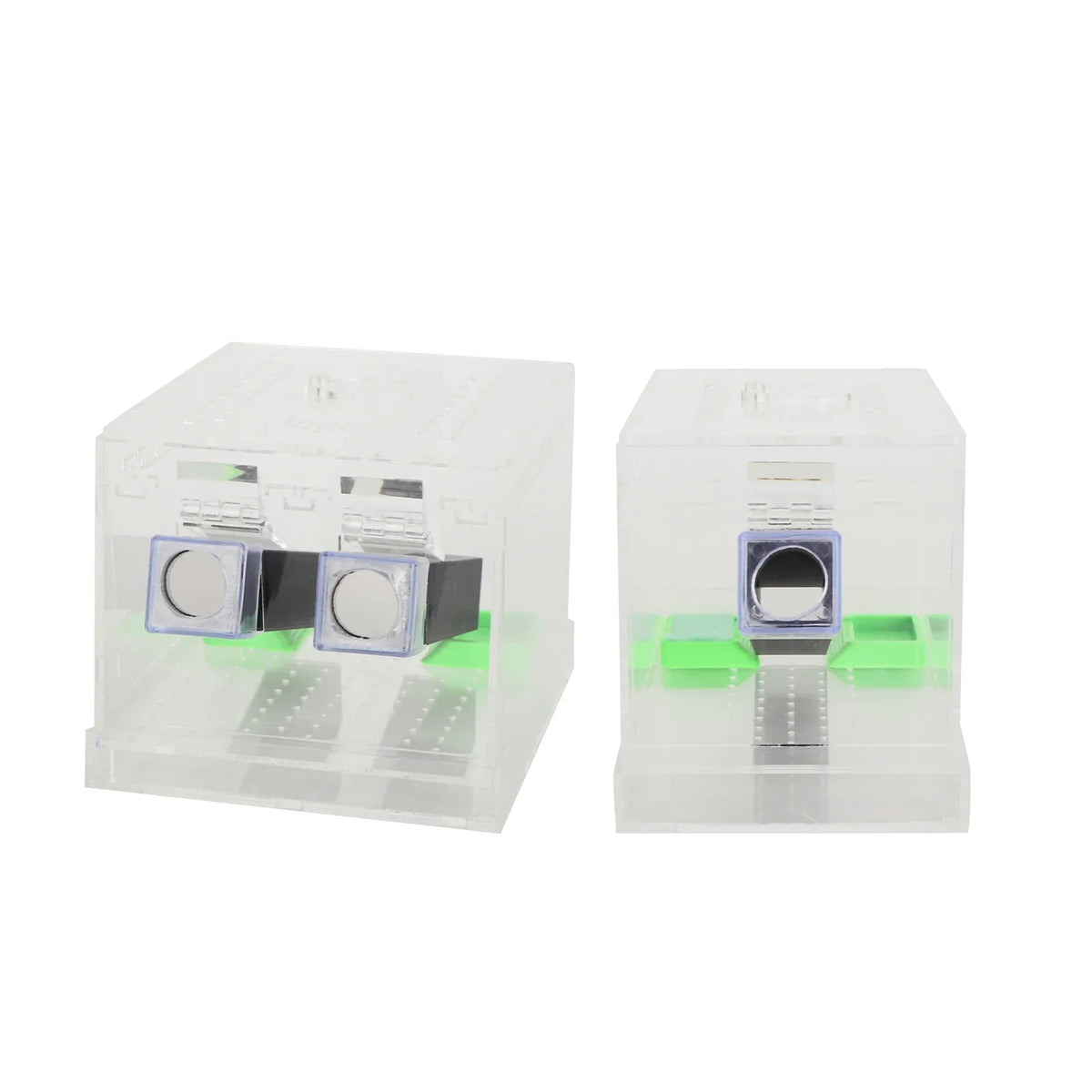 Acrylic Feeding Cricket Keeper Pen with - ProPawPet.com