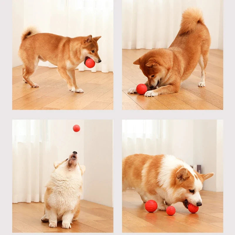 MADDEN S-XL Sizes Solid Rubber Balls Bouncy - ProPawPet.com