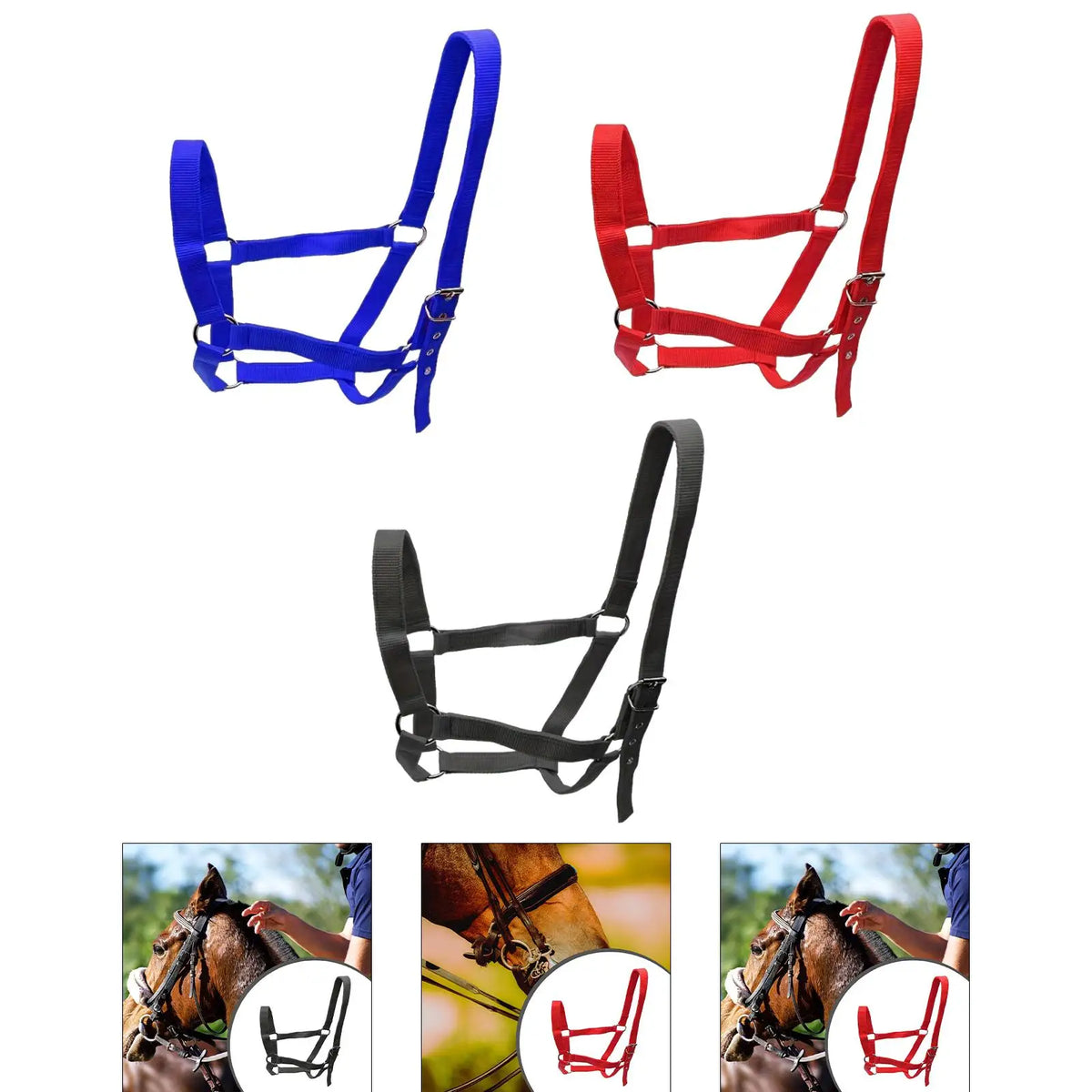 Strong PP Webbing Horse Halter Adjustable - ProPawPet.com