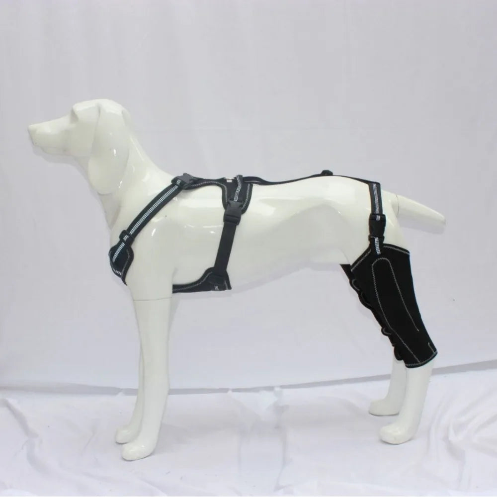 Reduces Pain Hind Leg Dog Brace Auxiliary Belt – 3 Sizes