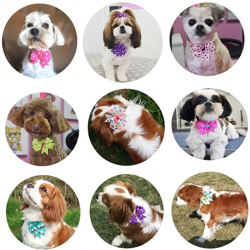 50pcs Dog Bowtie Dot Solid Bow Tie Collar - ProPawPet.com