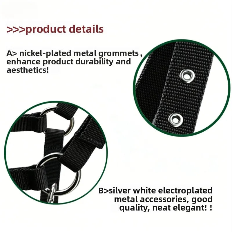 Adjustable Thickened PPWebbing Equestrian - ProPawPet.com