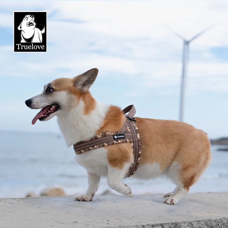 Truelove Floral Printing Mesh Padded Harness - ProPawPet.com