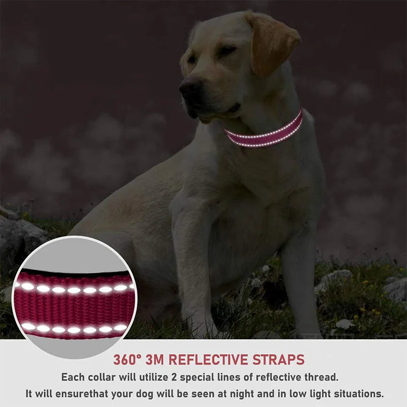 1PC Reflective Dog Collar with Buckle - ProPawPet.com