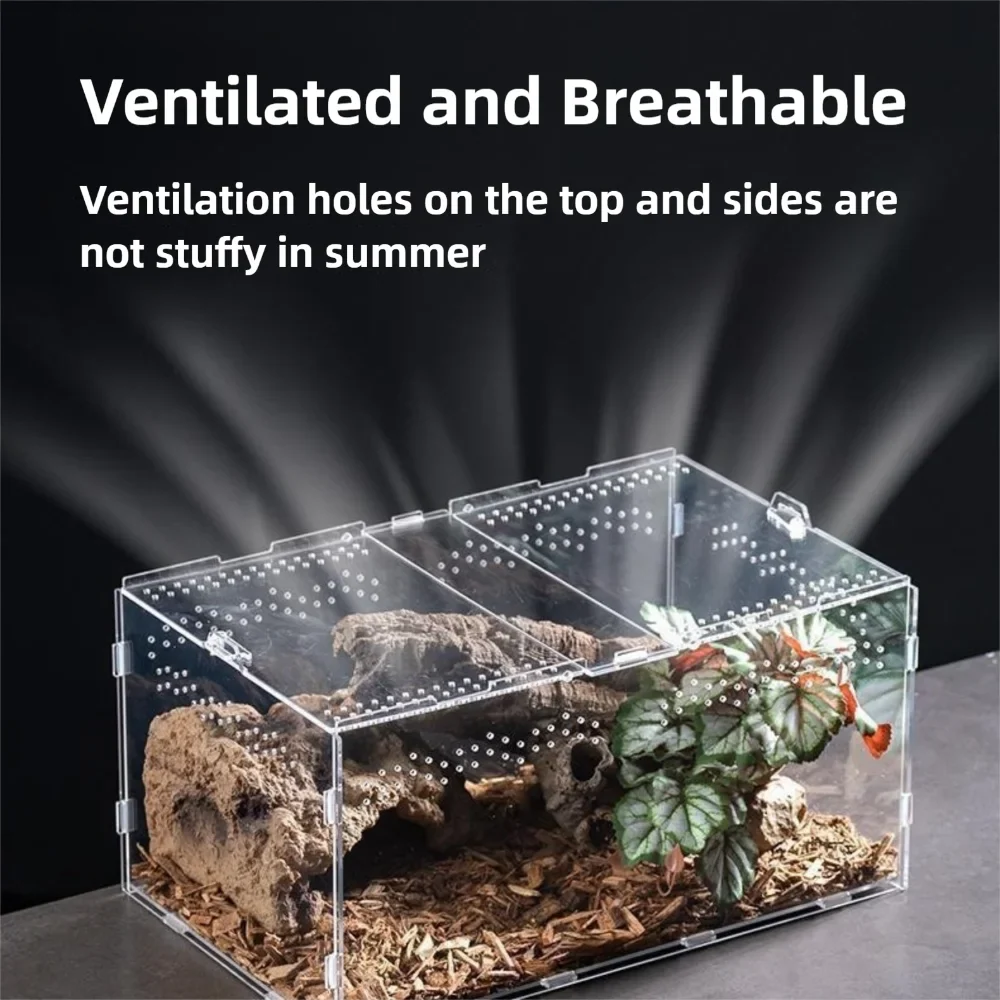 Durable Acrylic Reptile Habitat Clear - ProPawPet.com