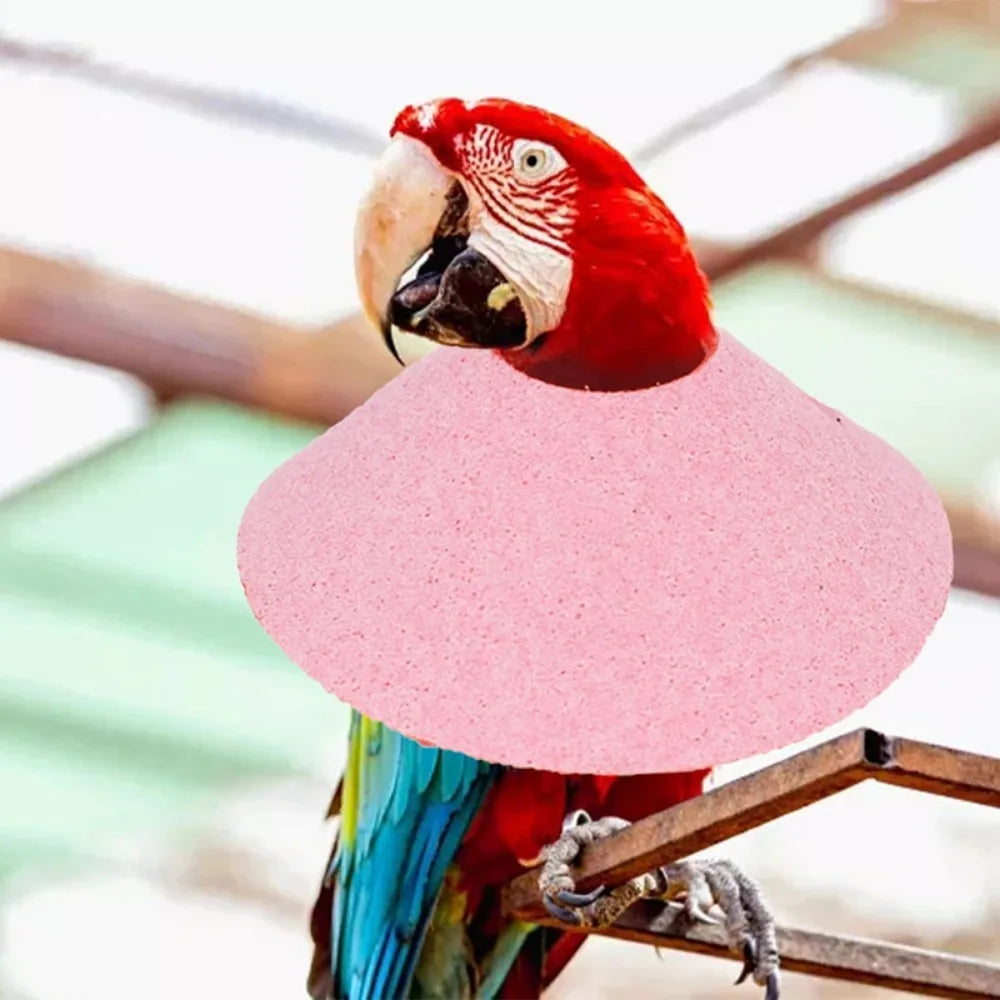 Adjustable Bird Accessories Anti-bite - ProPawPet.com