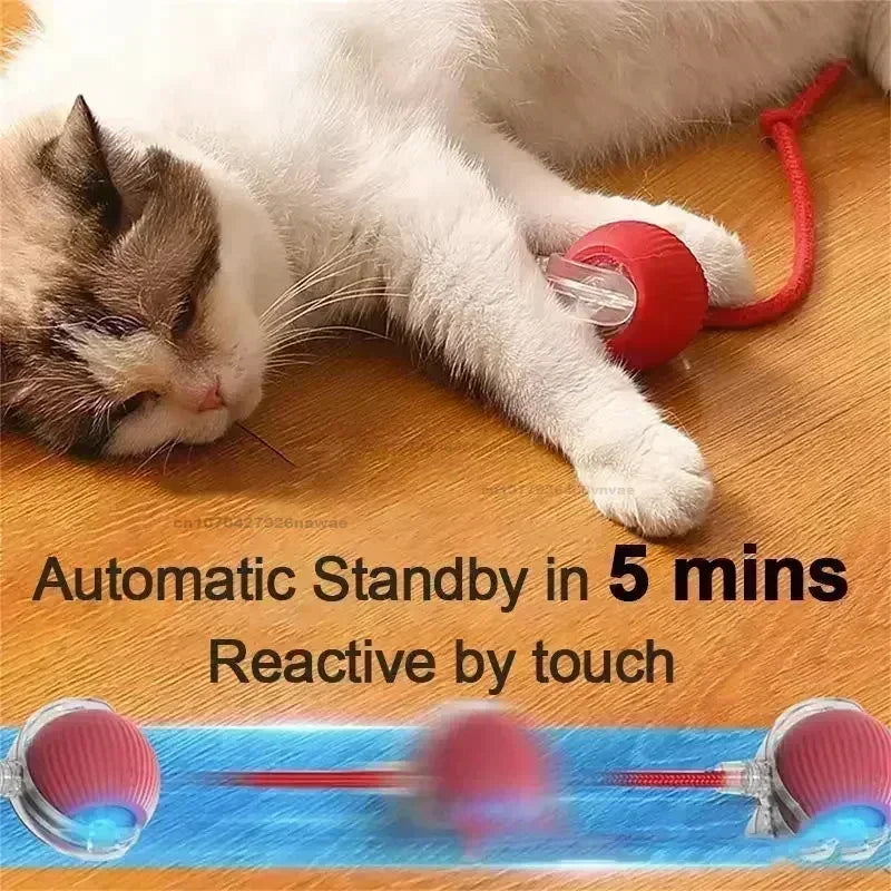 Interactive Rolling Cat Ball Dog Toy Rolling - ProPawPet.com