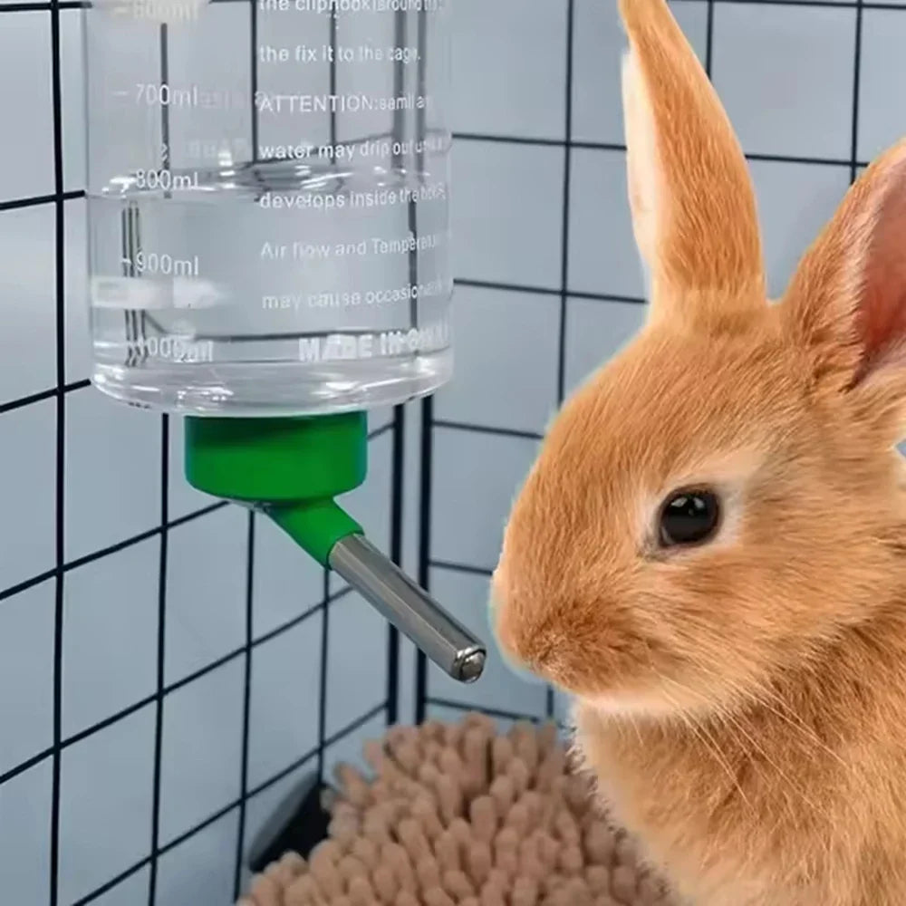 1000ml Random Color Small Animals Drinker - ProPawPet.com