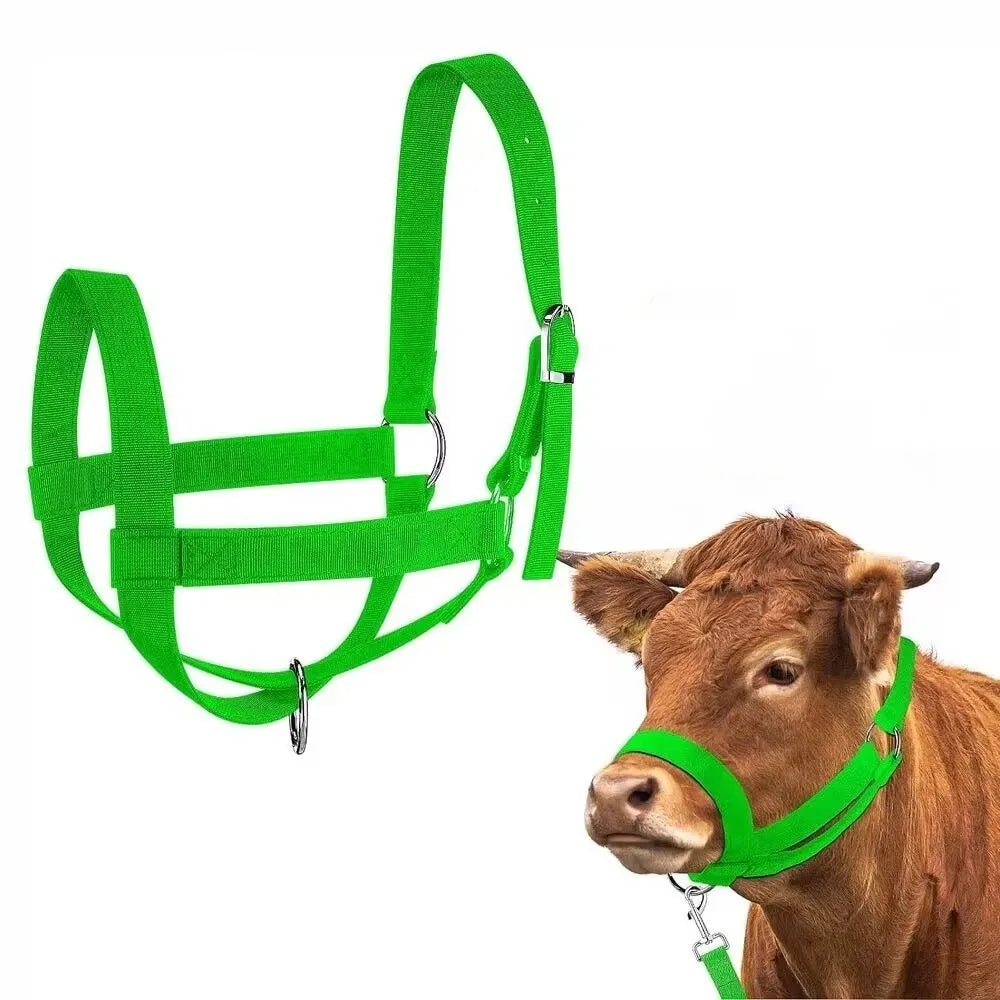 Adjustable Cow Halter with Leash Heavy Duty Durable Calf for Horses