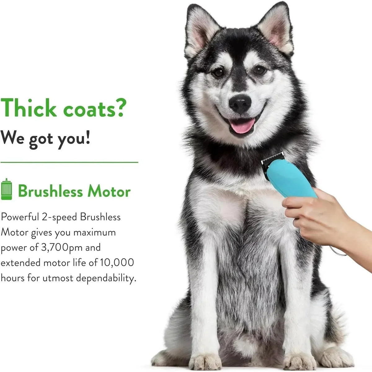 7FC/5FC/4FC/#10/#30/#40 Detachable Pet Dog - ProPawPet.com