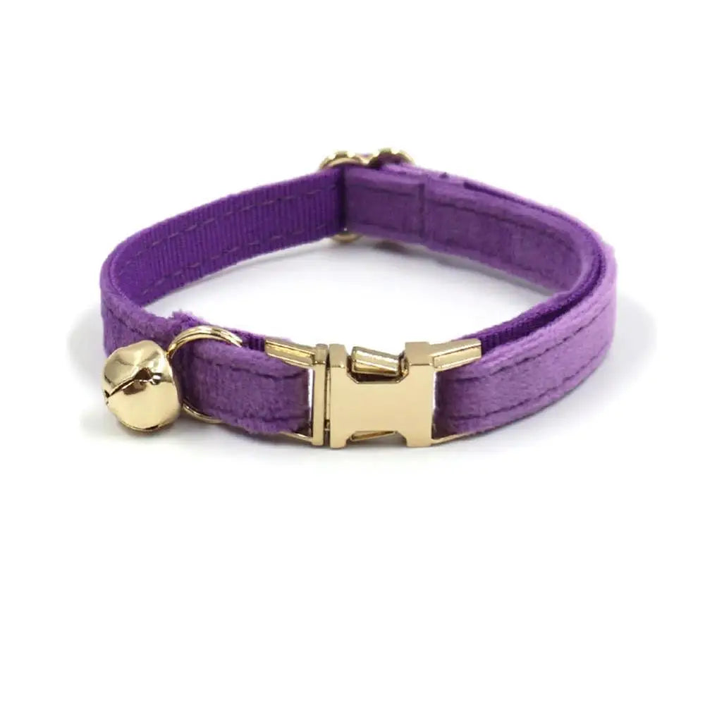 Free Engraving Customized Multicolor Soft - ProPawPet.com