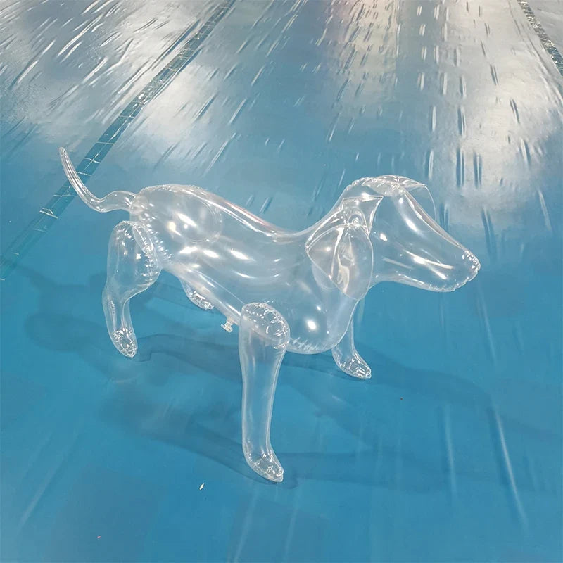 Inflatable Dog Mannequin Display – Dog Accessories
