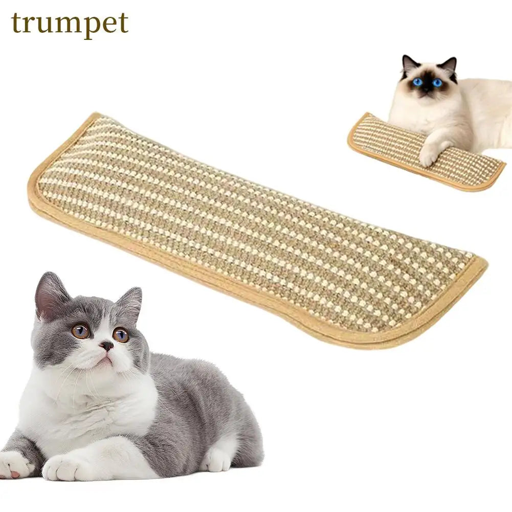 Fun Catnip Pillow Cat Interactive Toy – 2 Colors