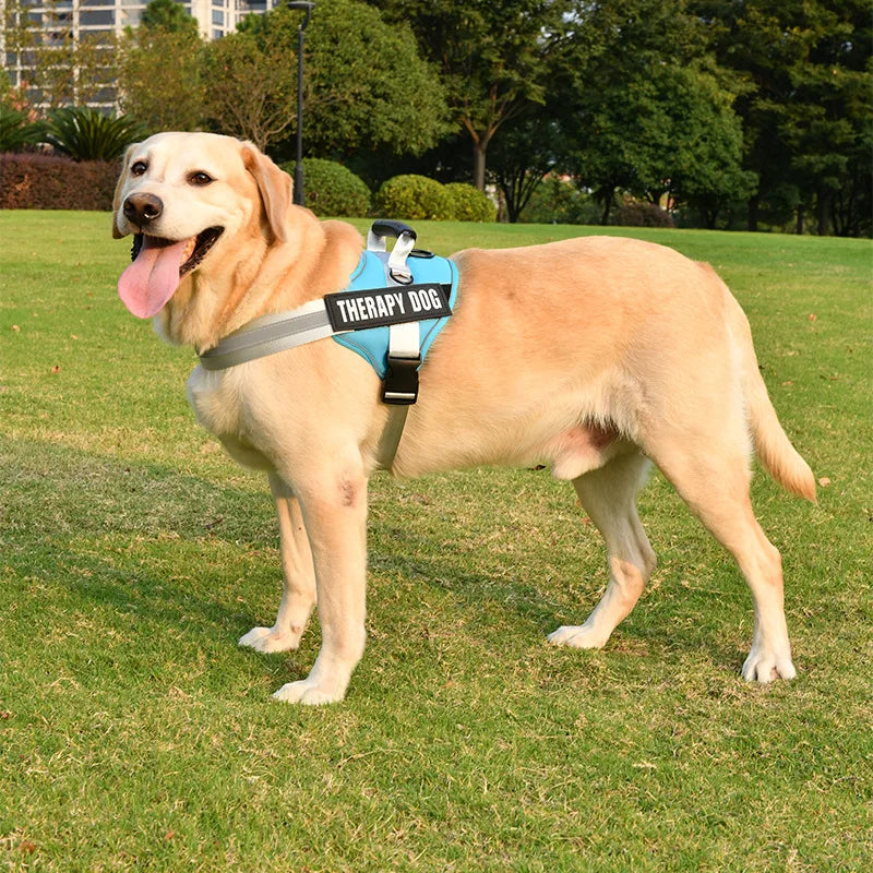 Reflective Nylon Dog Harness with 8pcs Dog - ProPawPet.com