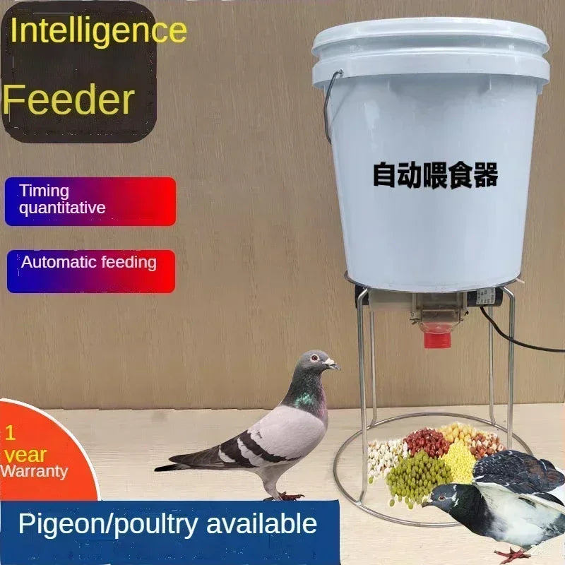 Automatic Chicken Feeder Pigeon Chicken Duck - ProPawPet.com