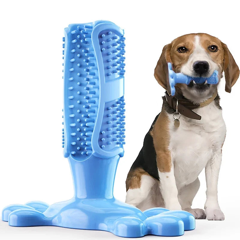 Dog Cactus Interactive Rubber Bite Resistant Chew Toys – 4 Colors