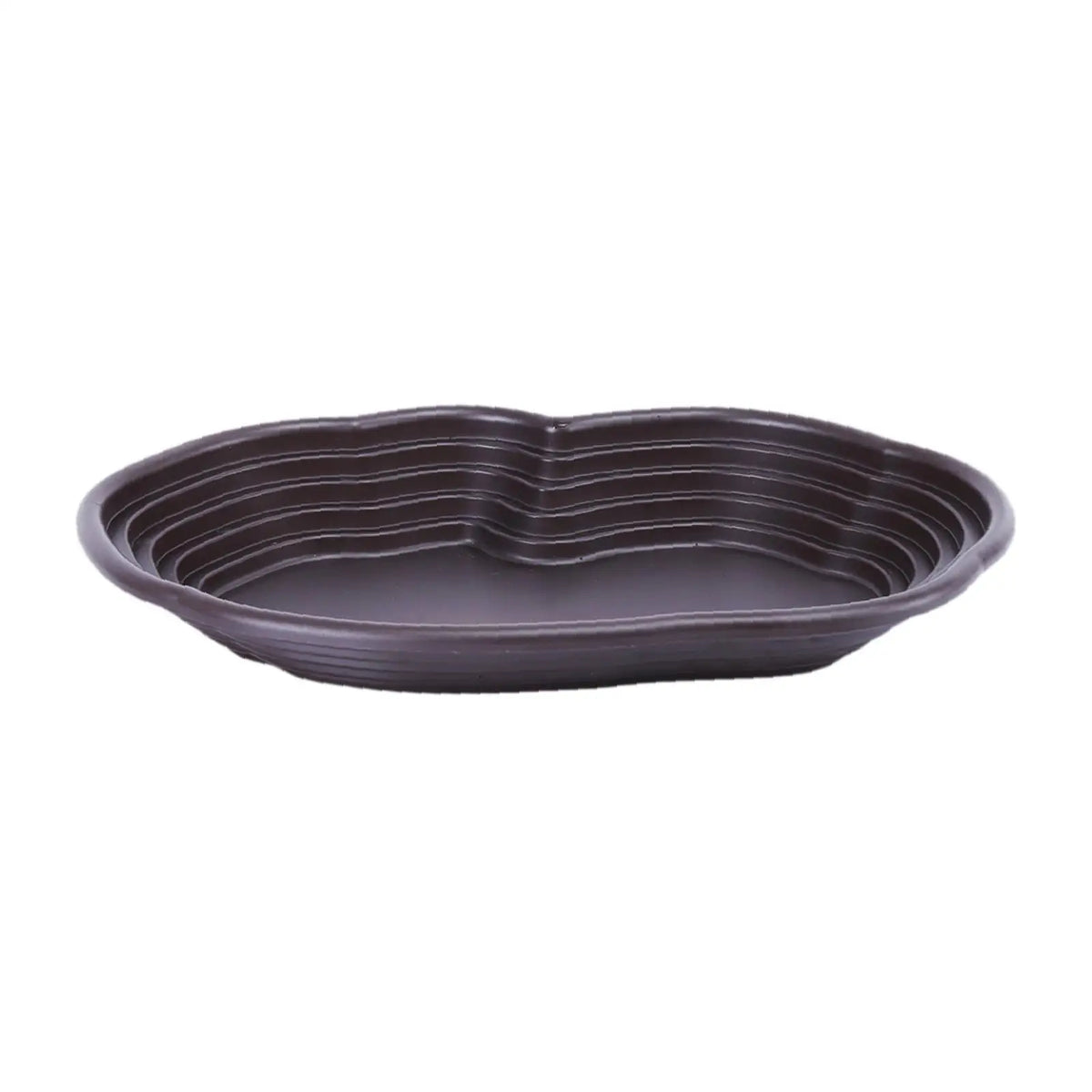 Reptile Feeding Dish Reptile Feeding Water - ProPawPet.com