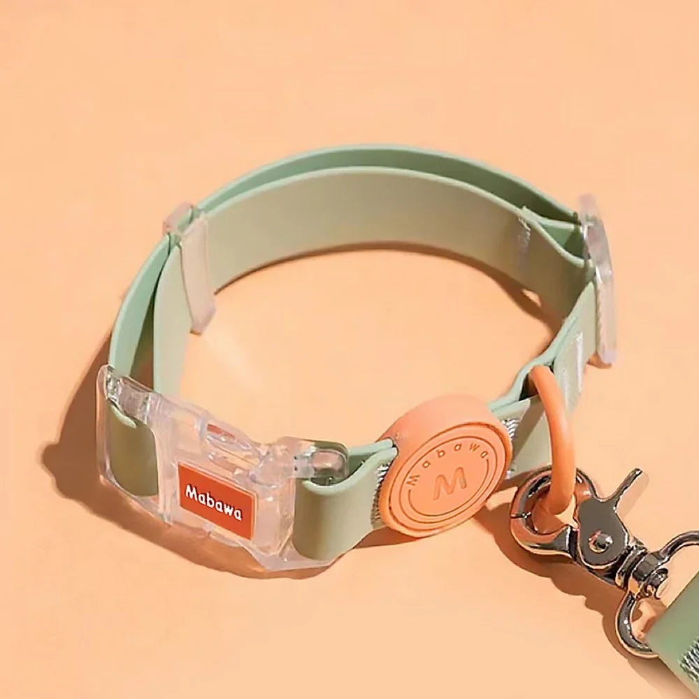 Transparent Buckle Candy Color Small Medium - ProPawPet.com