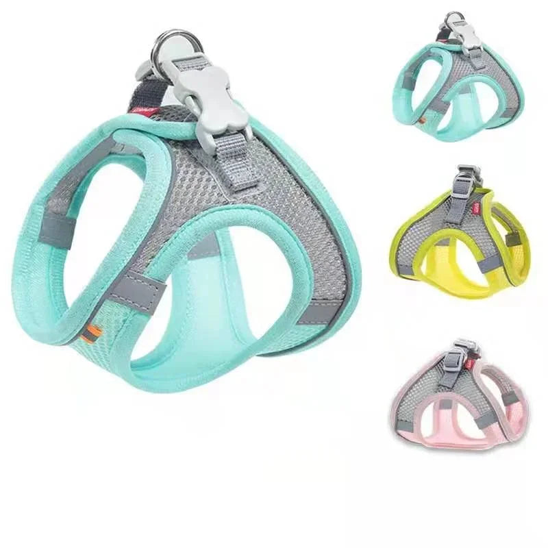 Cats Dog Accessories Small Dog Collar Safety - ProPawPet.com