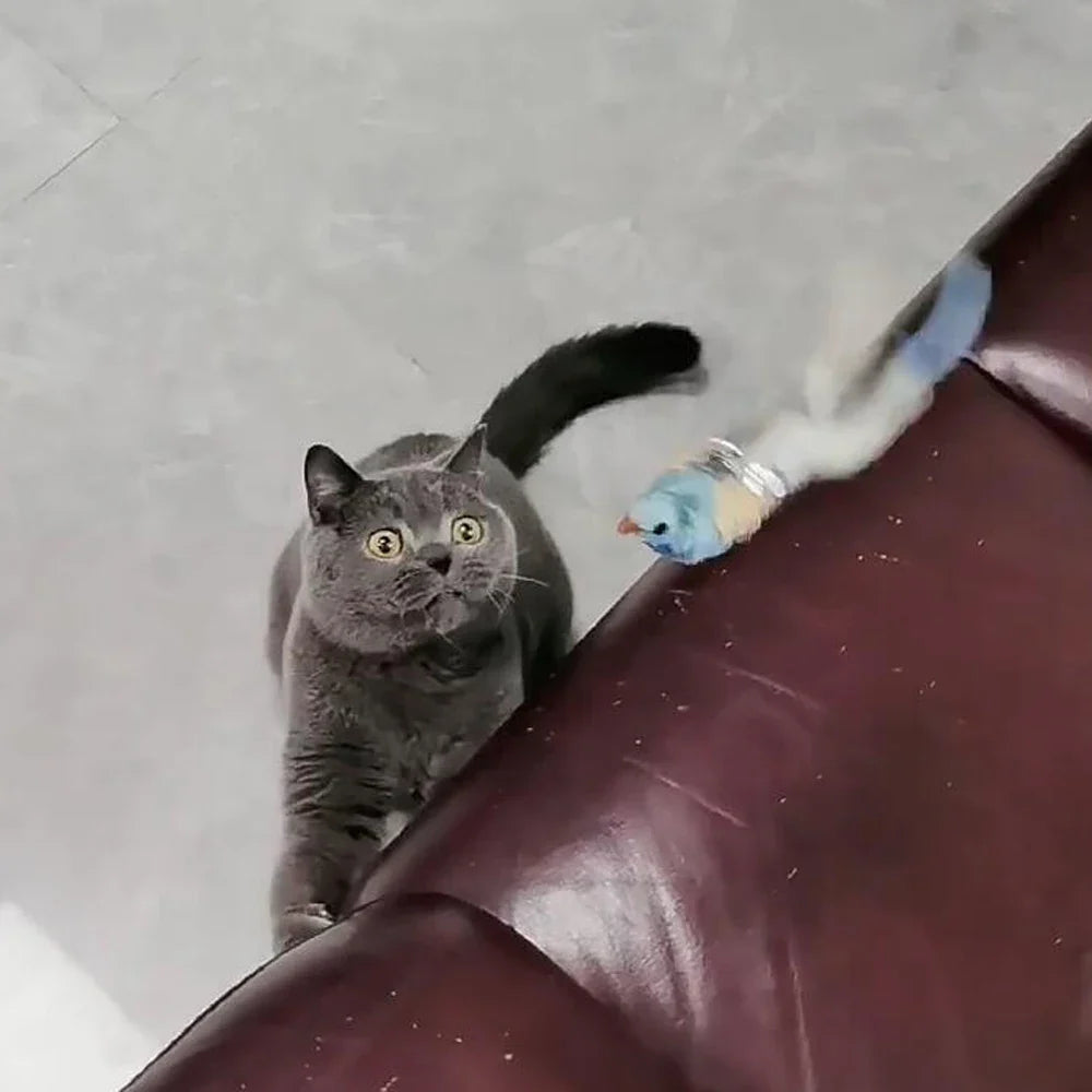 2pcs Replacement Head for Cat Teaser Funny - ProPawPet.com