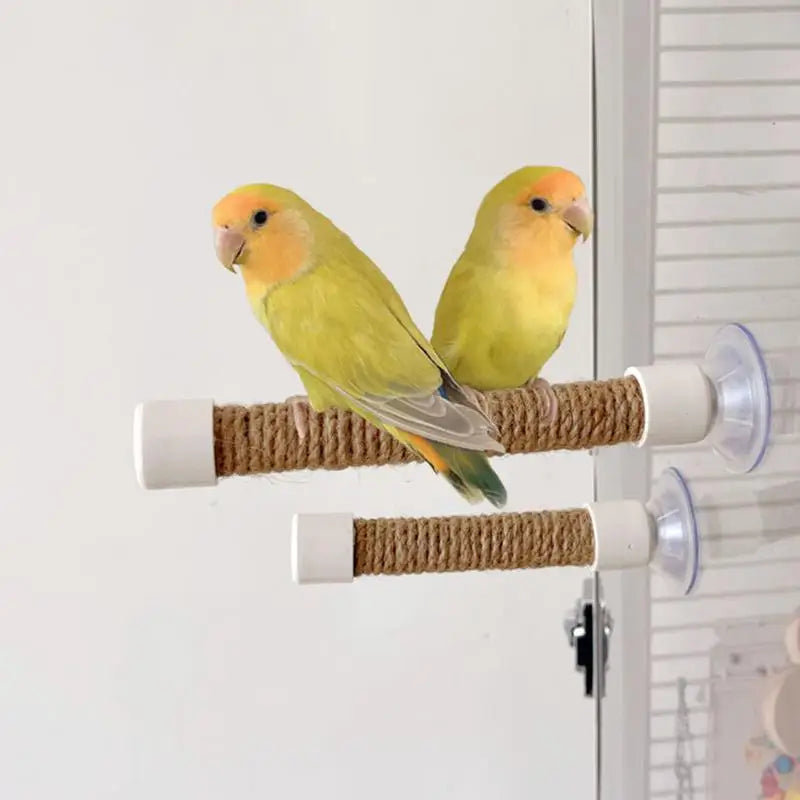 Suction Cup Bird Window And Shower Perch Toy - ProPawPet.com