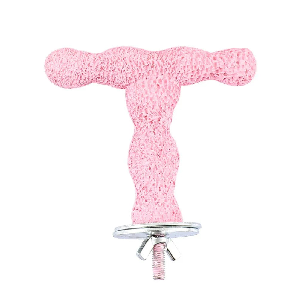 Y T Shaped Bird Standing Perches Stick Resin Non Slip Grinding – 6 Colors