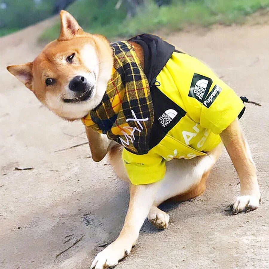 Pet Dog Waterproof Coat Dog Raincoat - ProPawPet.com