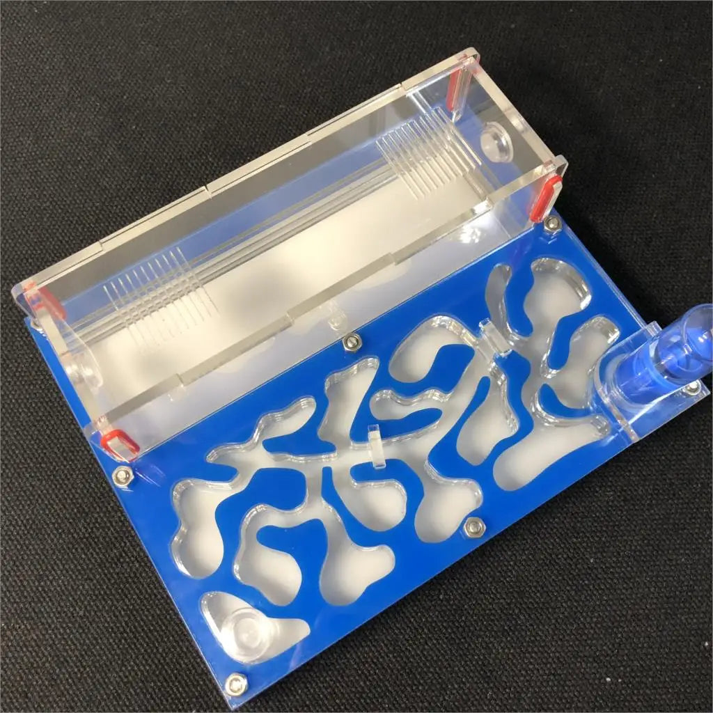 150mmx110mm test tube Moisture big space Ant - ProPawPet.com