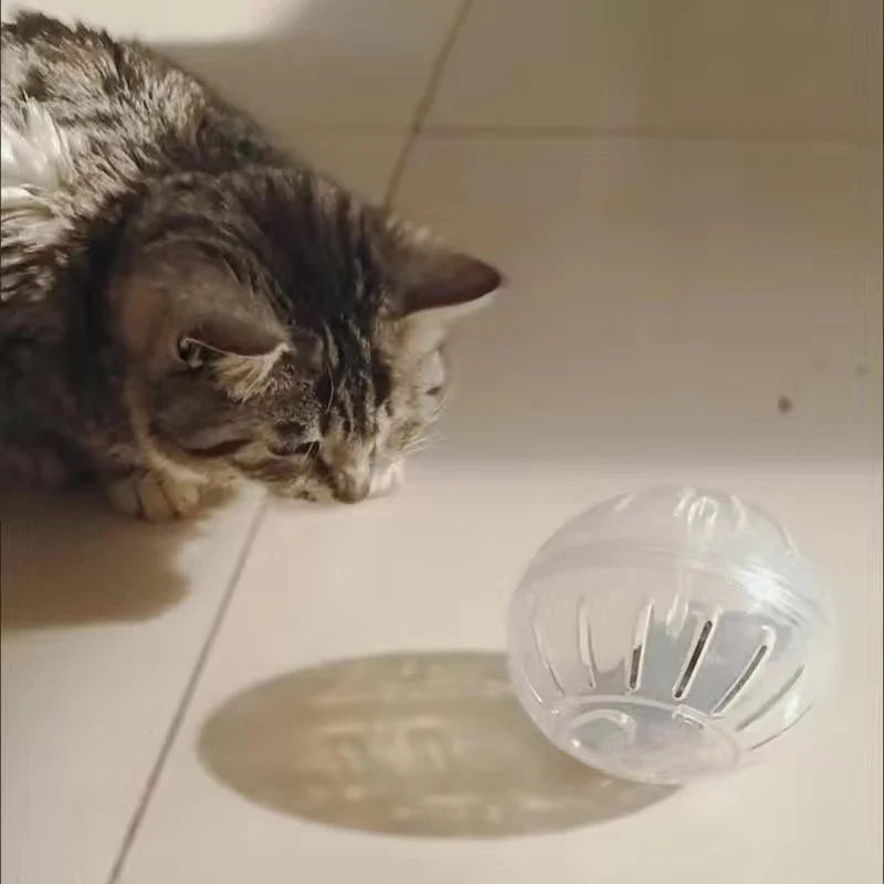 12 14.5cm Hamster Mouse Sports Fitness - ProPawPet.com