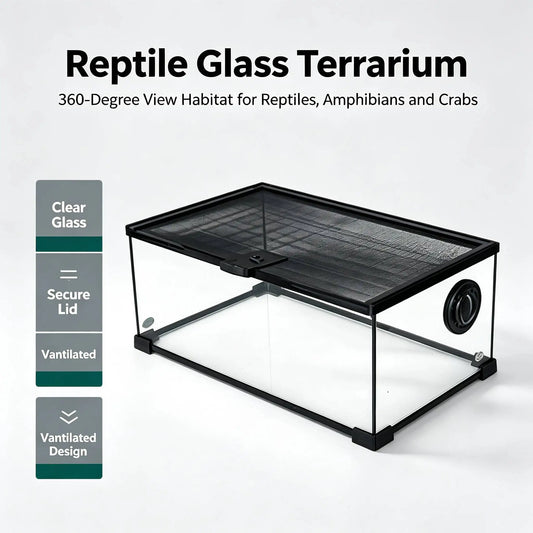 Reptile Breeding Box Glass Spider Lizard - ProPawPet.com