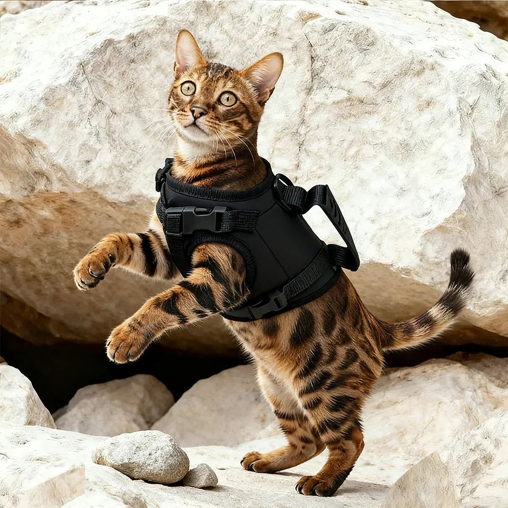Tactical Cat Harness Escape Proof Adjustable - ProPawPet.com