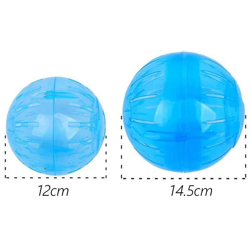 12 14.5cm Hamster Mouse Sports Fitness - ProPawPet.com