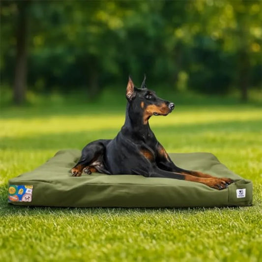 42 Inch Indestructible Canvas Outdoor Dog - ProPawPet.com