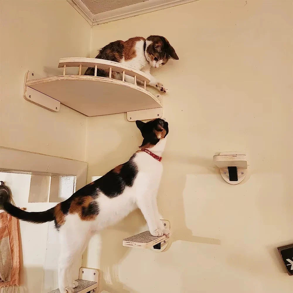Wall-mounted wooden cat hammock and steps