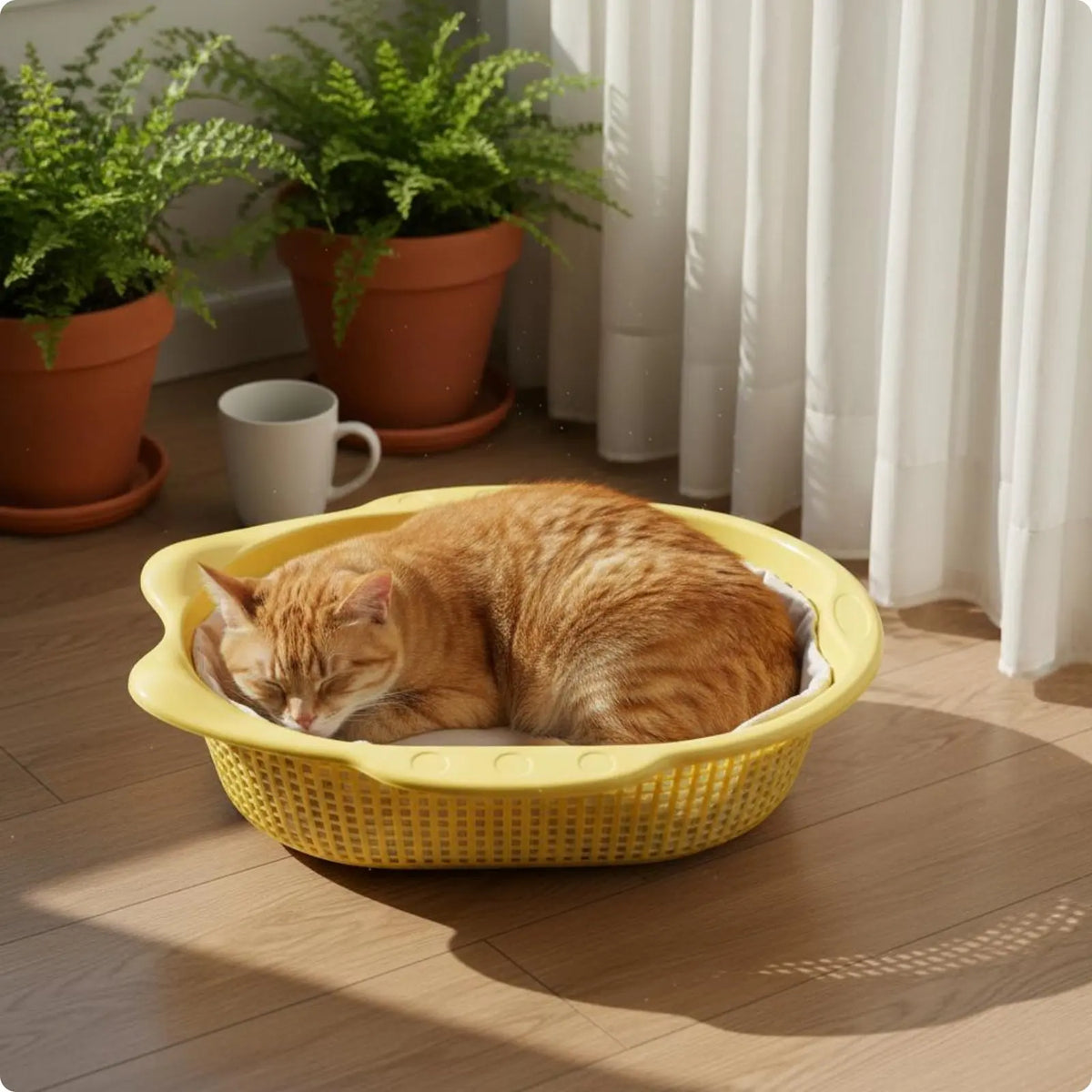 Pet Cat Bed Breathable Thickened Cat Basket - ProPawPet.com