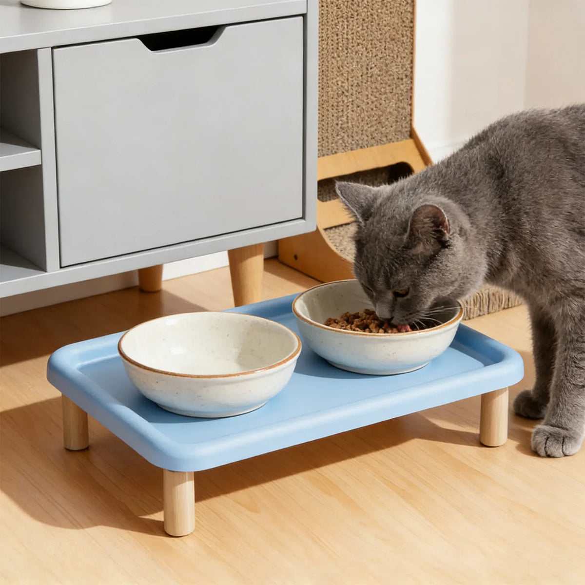 Elevated Cat Food Bowl Platform Portable for - ProPawPet.com