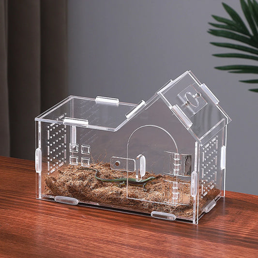 Reptile Feeding Box with Lids Animal Habitat - ProPawPet.com
