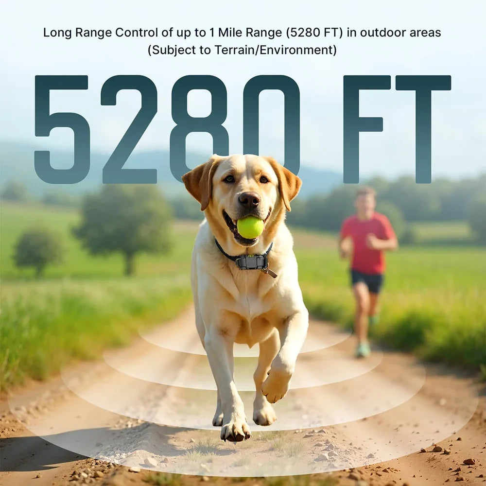 JANPET Dog Training Collar with Remote - ProPawPet.com