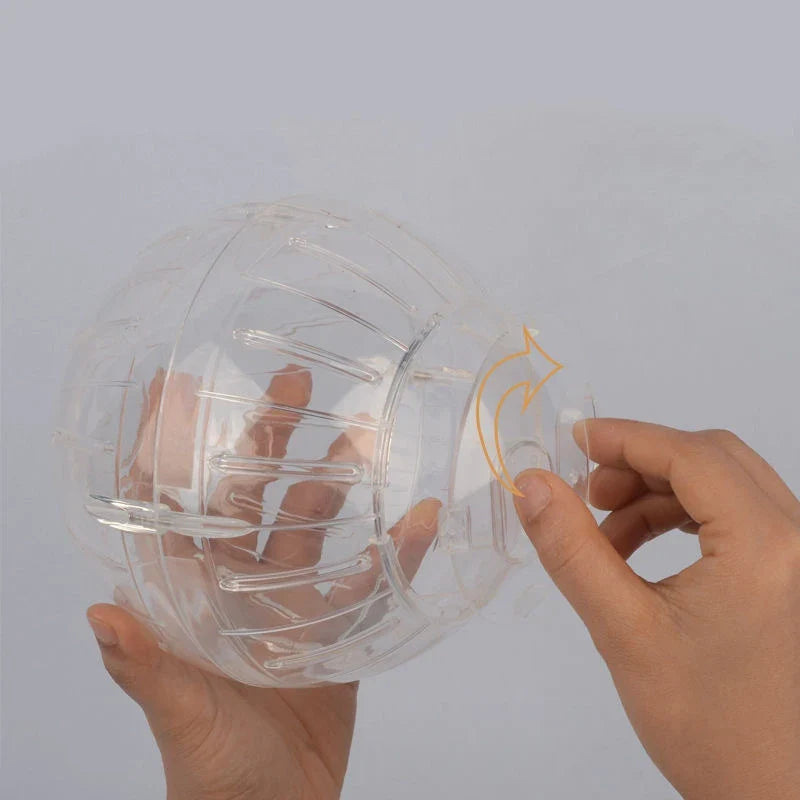 12 14.5cm Hamster Mouse Sports Fitness - ProPawPet.com