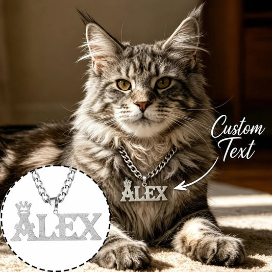 Custom Pet Name Necklace Personalized Cat - ProPawPet.com