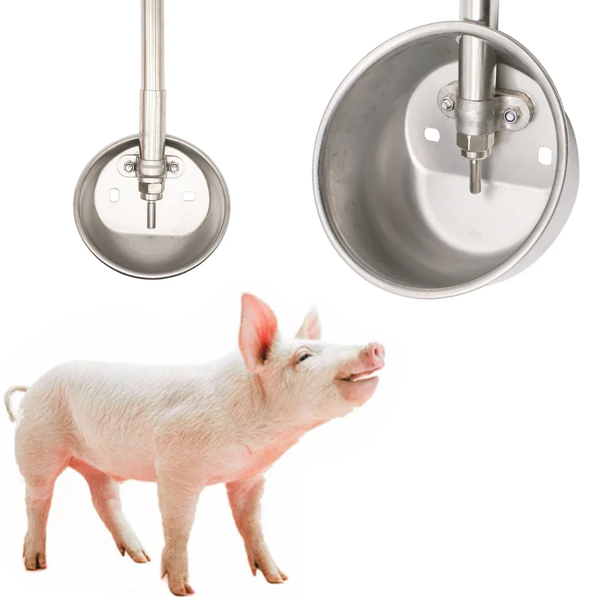1 Pcs Pig Drinking Trough 304 Stainless - ProPawPet.com