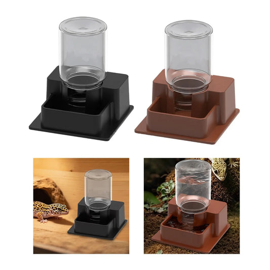 Automatic Reptile Water Dish Decorative with - ProPawPet.com