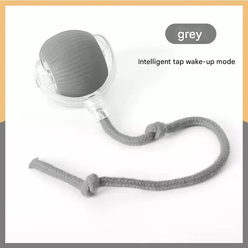 Pet toy ball, a great way to amuse cats and - ProPawPet.com