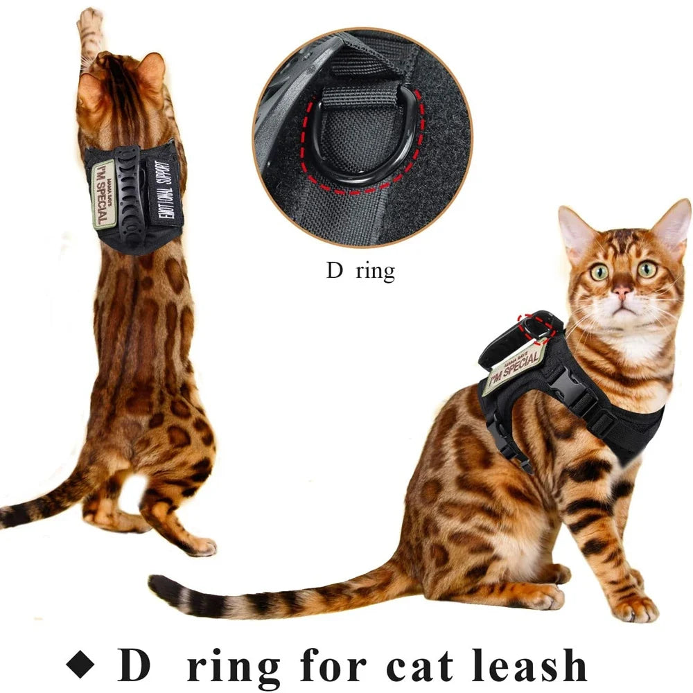 Tactical Cat Harness Escape Proof Adjustable - ProPawPet.com