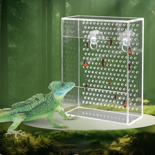 Wall Mounted Acrylic Reptile Feeder - ProPawPet.com