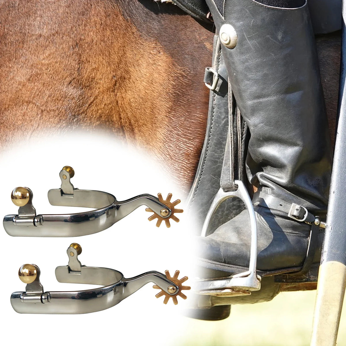 2 Pcs Horse Spurs Anti Rust Horse Riding - ProPawPet.com