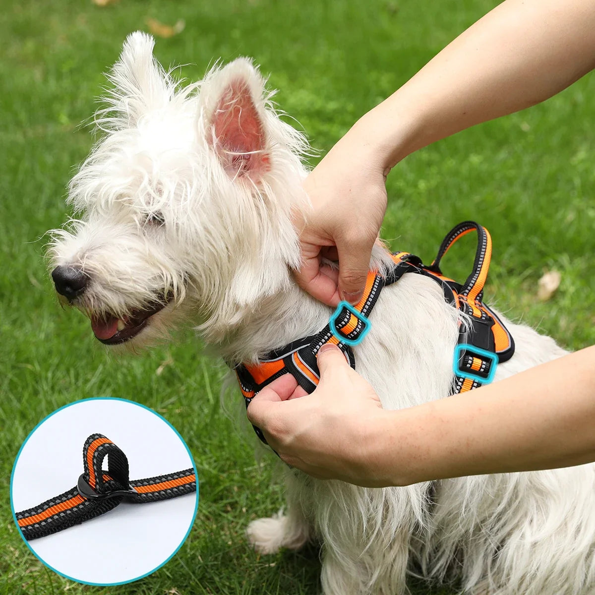 Adjustable Dog Harness Vest Pet Reflective - ProPawPet.com