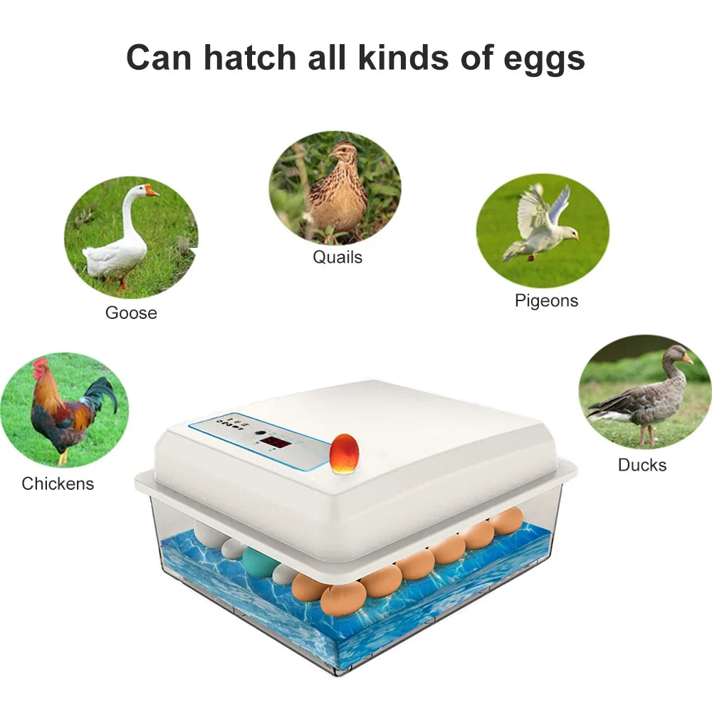50 Eggs Incubator Fully Automatic Bird - ProPawPet.com